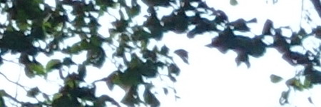 Sony Cyber-shot RX100 III (RX100M3): superSony