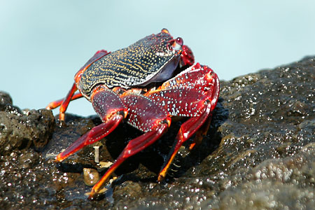 Fotografický blesk na cestě časem – 6. díl