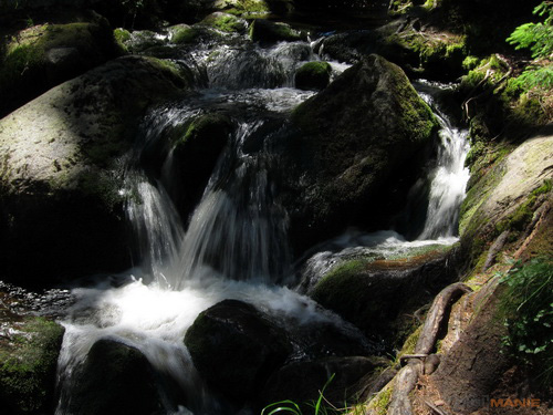 Canon IXUS 300 HS: superstylovka i pro náročné