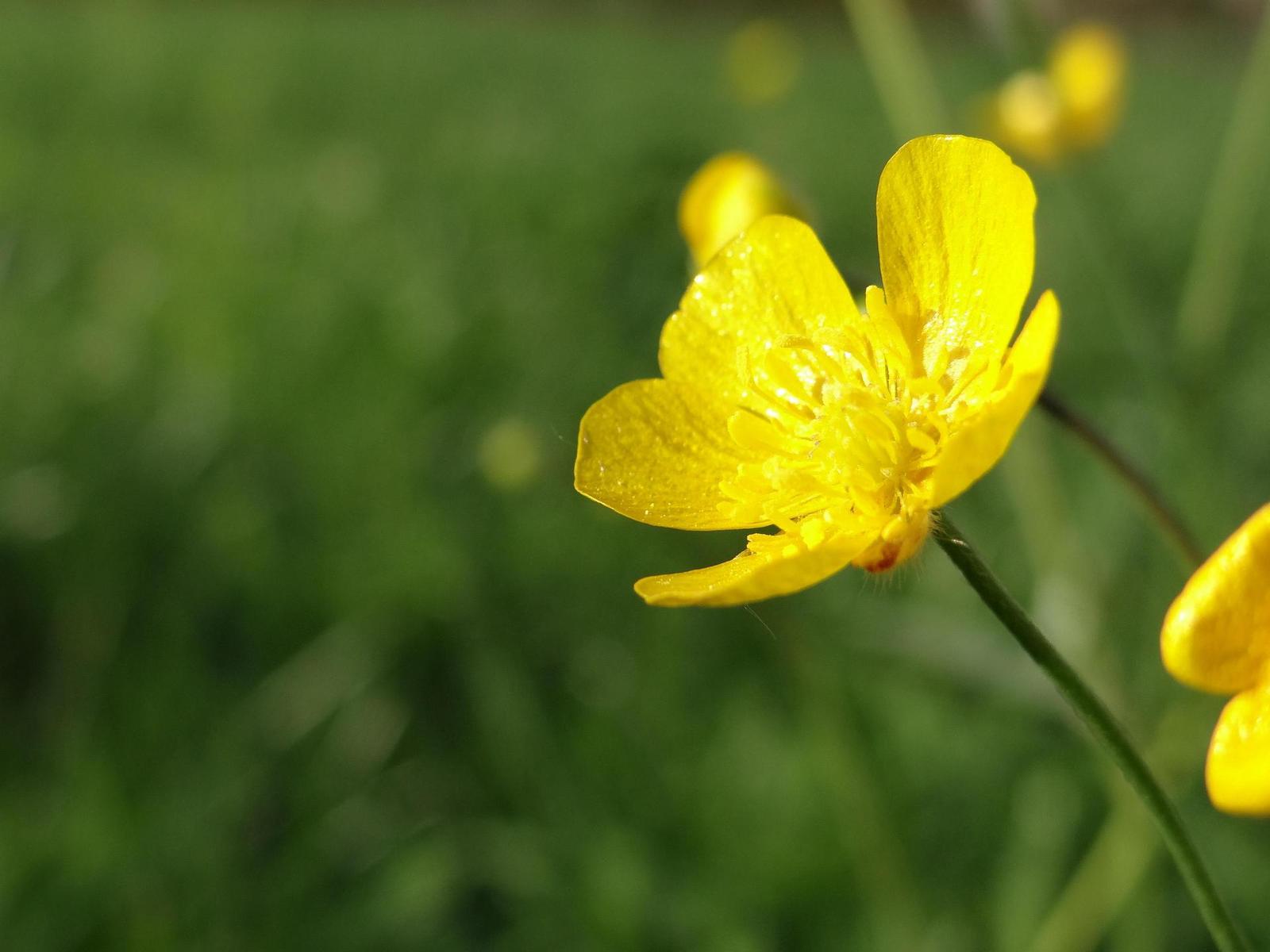 Sony Cyber-shot HX200V: ultrazoomový rychlík