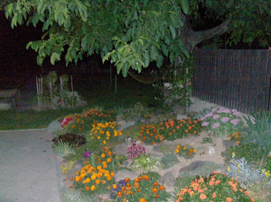 HP Photosmart R817: To nejlepší od HP