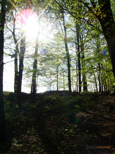 Sony DSC-T300: stylových 10 MPx s dotykovým LCD