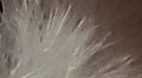 Sony Cyber-shot RX100 III (RX100M3): superSony