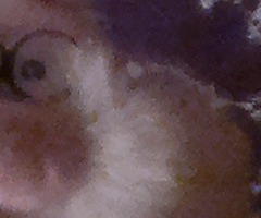 Nokia C7: pro fotící manažery