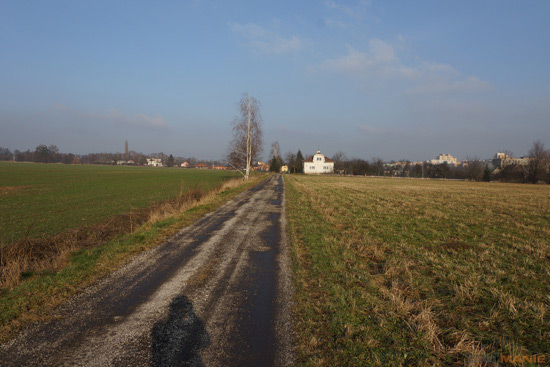 Sony SAL-18250 (DT 18-250mm F3,5-6,3)