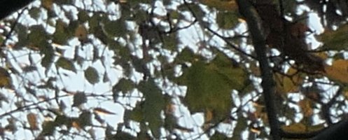 Panasonic Lumix TZ200: kamarád na cesty