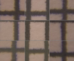 Canon EF-S 18-55mm F3,5-5,6 IS II