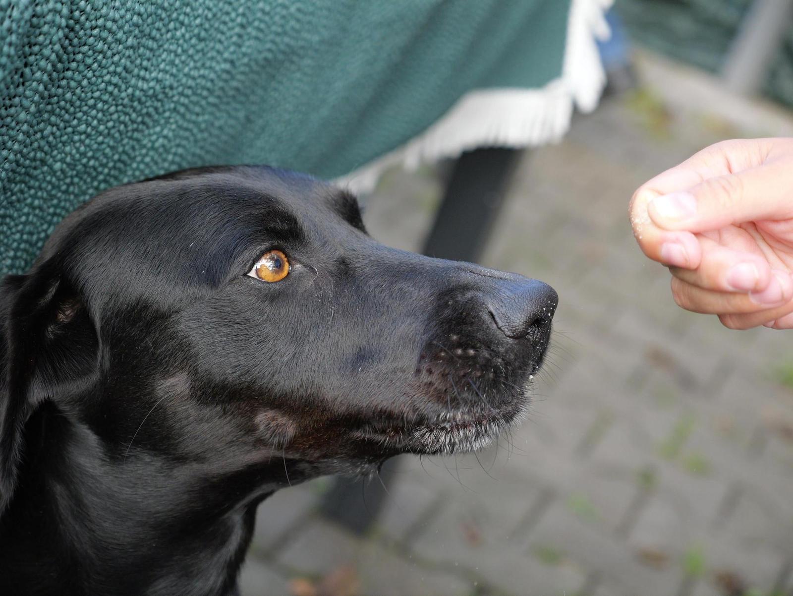 Panasonic Leica DG Vario-Elmarit 12-35mm / F2.8 ASPH. / Power O.I.S