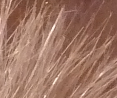 Panasonic Lumix TZ10: kapesní dělo