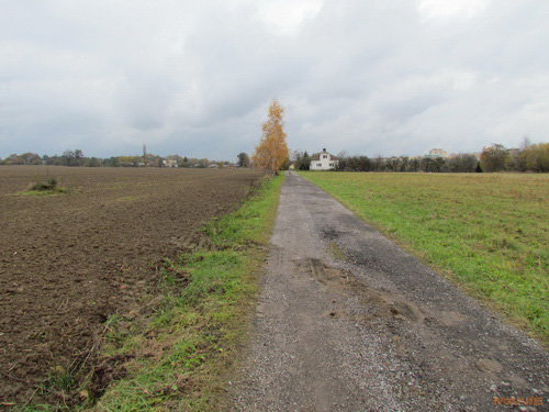 Canon PowerShot SX30 IS: sebevědomý rekordman