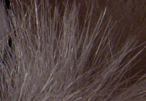 Nikon D600: vynikající vstup do světa full frame