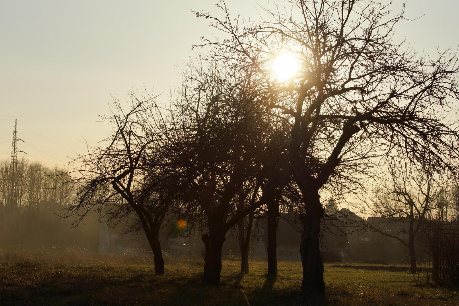 Sony SAL-70400G (70-400mm F4-5,6 SSM G)