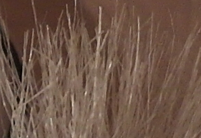 Samsung NX20: za více peněz více muziky