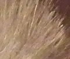 Fujifilm FinePix HS10: ultrazoom roku?