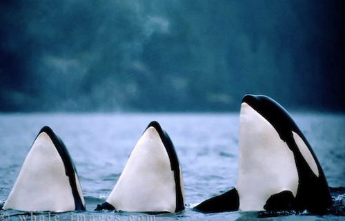 Soutěž kam se podíváš