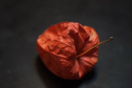 První oficiální snímky z Fujifilmu X-Pro1