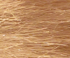 Canon PowerShot G10: stále mezi nejlepšími