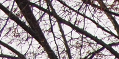 Olympus M.Zuiko Digital 14-42mm 1:3,5-5,6 II R