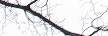 Canon PowerShot G1 X Mark II: významné zlepšení