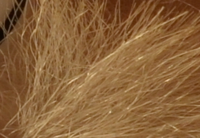 Nikon Coolpix A: velmi příjemná (ne)výraznost