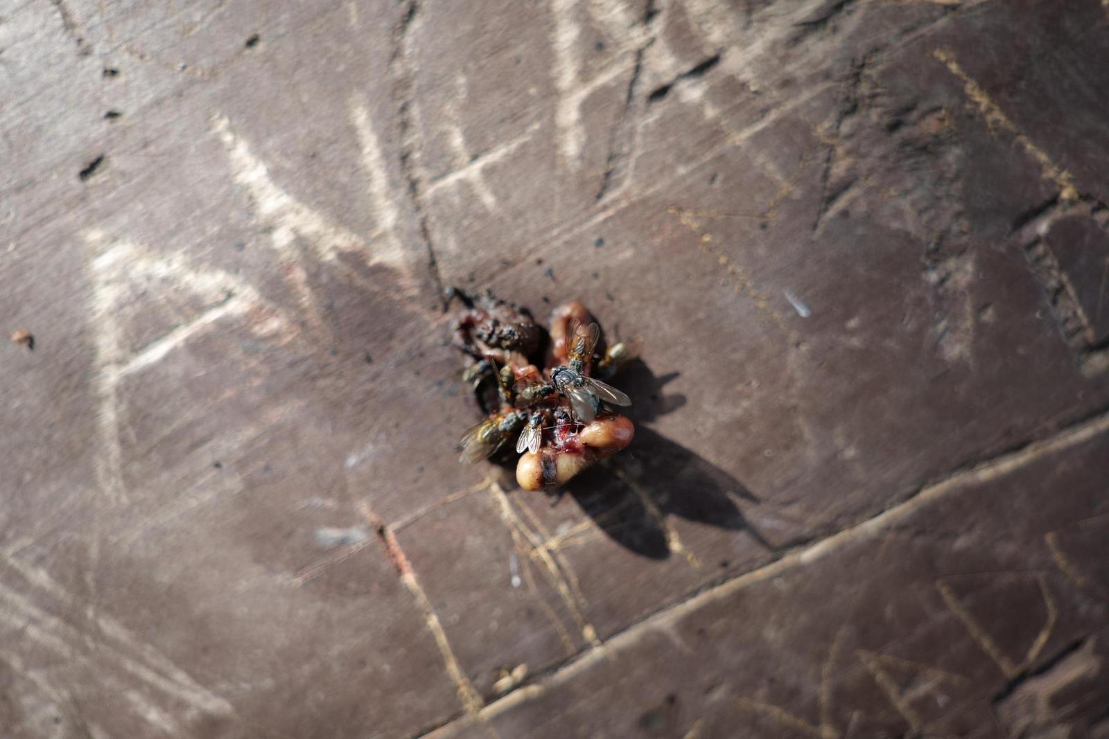 Panasonic Lumix S 18mm F1.8