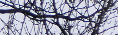 Panasonic Lumix FZ2000: ultrazoom nebo profi kamera?