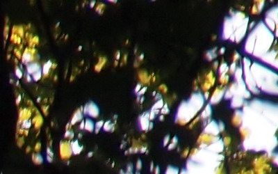 Olympus M.Zuiko Digital 14-150 mm F4-5,6