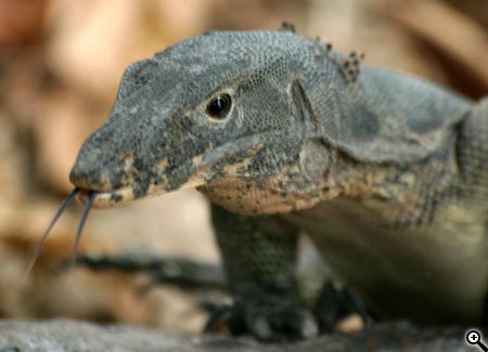 Úpravy fotografií v PC, 12. díl - doostřování