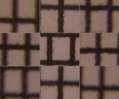 Sony SLT-A33: přesvědčivý revolucionář