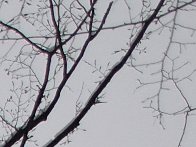 Dva objektivy nebo jeden ultrazoom?