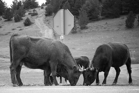 DSLR na cestě časem - 10. díl