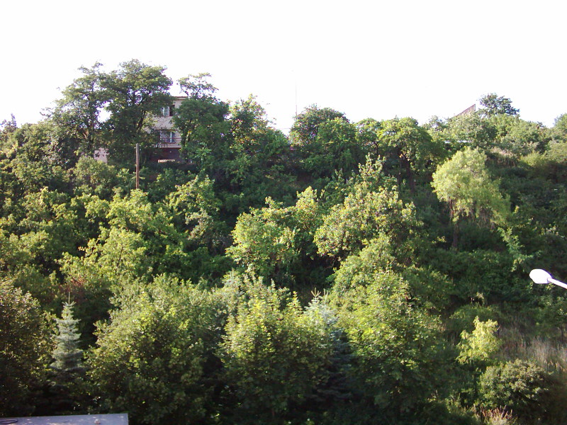 DiGICAM VQ2220: Jednoduchý foťák za nízkou cenu