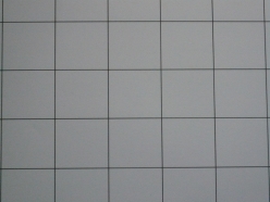 Panasonic Lumix DMC-FX 30EG: rodinná tradice