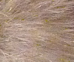 Panasonic Lumix LX3: nejtajnější přání vyslyšena