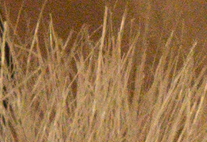 Sony NEX-7: správná (r)evoluce