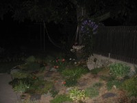 Canon PowerShot A540: Stříbrný šikula