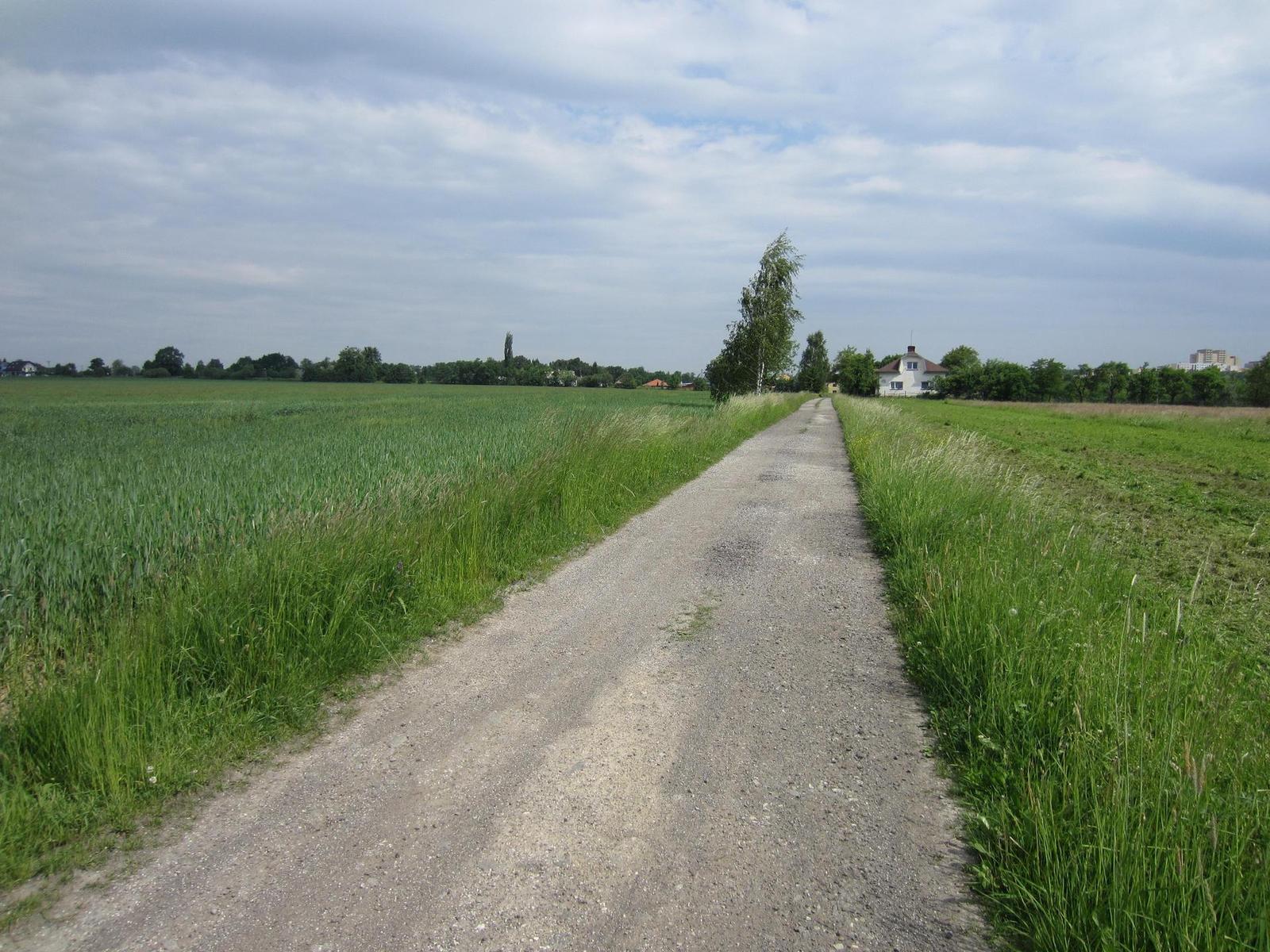 Canon IXUS 220 HS: multifunkční Karkulka