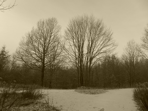 Panasonic Lumix LX7: kompaktní hvězda noci