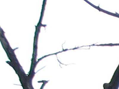 Canon PowerShot S90: malý zázrak