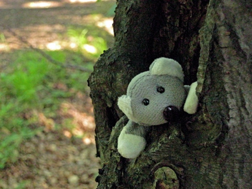 Fotíme s Koalou: Vyvážení bílé