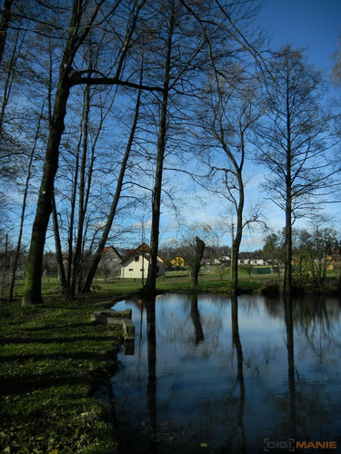 Nikon Coolpix S1100pj: kino v kompaktu