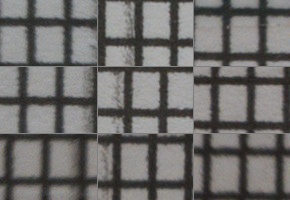 Panasonic Lumix G Vario 35-100mm F4-5.6 MEGA O.I.S.