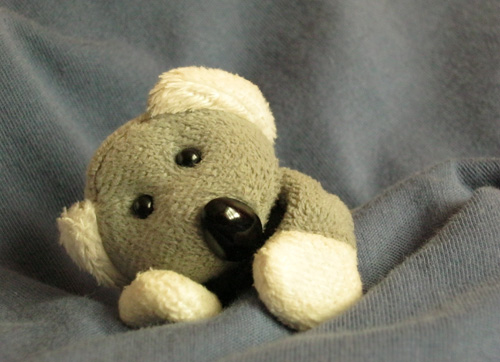 Fotíme s Koalou: Vyvážení bílé