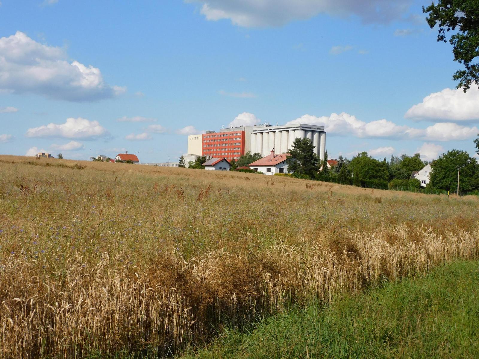 Nikon Coolpix B600: kamarád do přírody