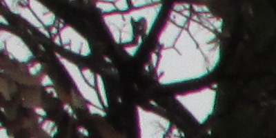 Canon PowerShot SX500 IS: fotící stroj času