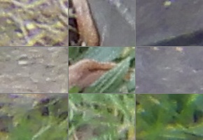 Nikon Coolpix A900: 4K do kapsy