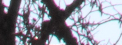 Megatest ultrazoomových objektivů