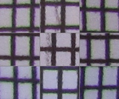 Canon PowerShot SX210 IS: s překvapivou zbraní