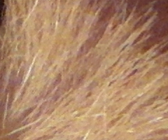 Samsung WB2000: stylová bomba