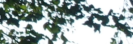 Sony Cyber-shot RX100 III (RX100M3): superSony